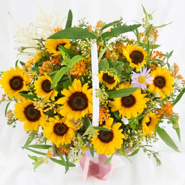 Radiant Sunday Bliss 5