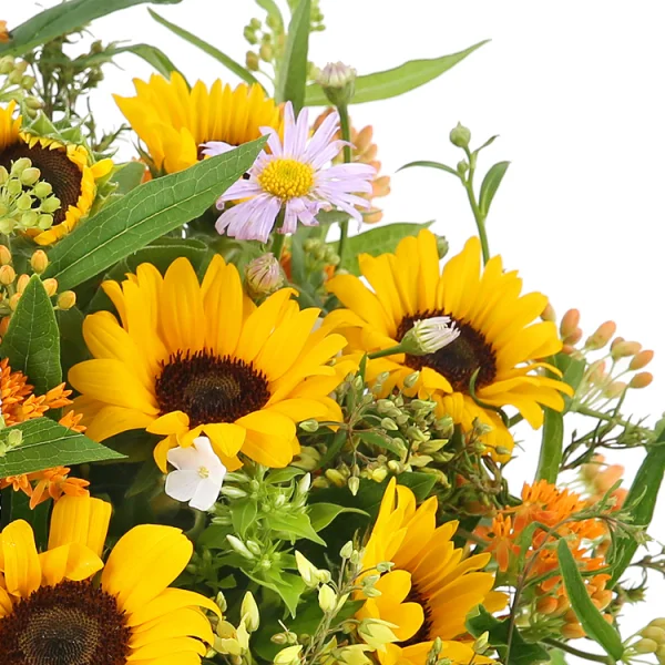 Radiant Sunday Bliss 6