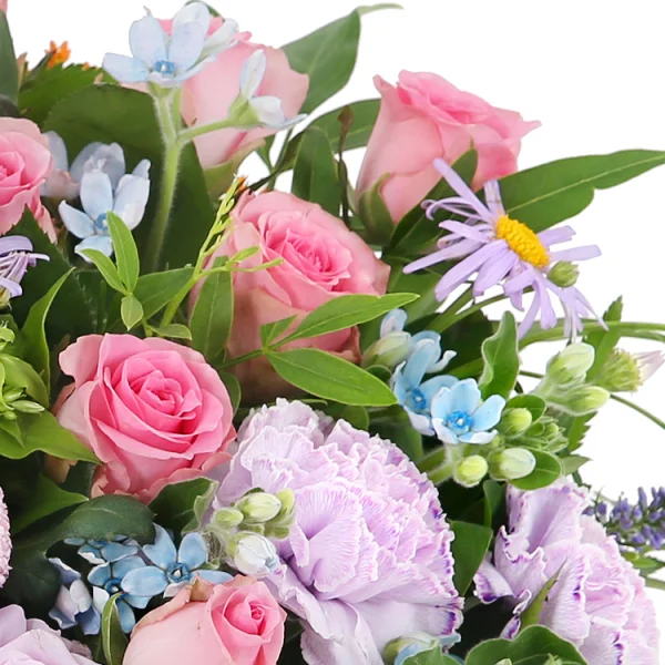 Delightful Spring Symphony 6