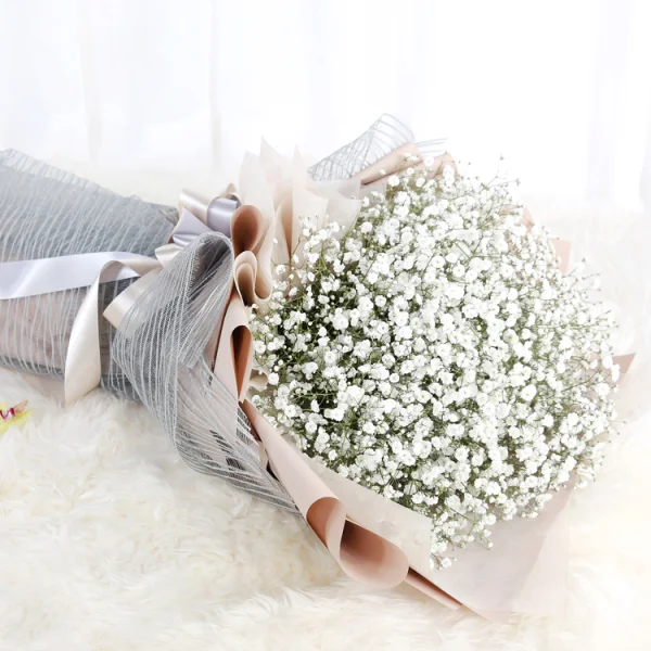 Whispers of Elegance 3