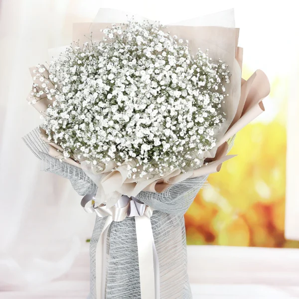 Whispers of Elegance 6