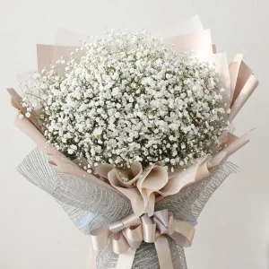 Whispers of Elegance