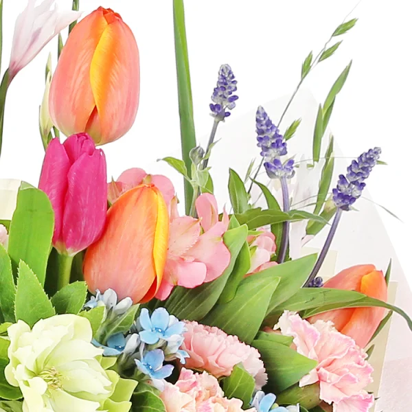 Whispers of Spring 6