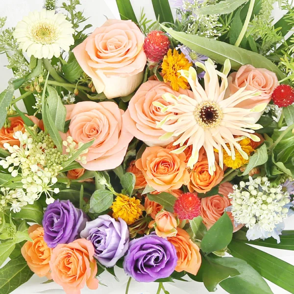 Season's Embrace 6
