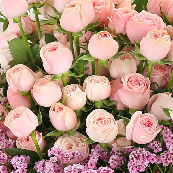 Blush of Romance 6