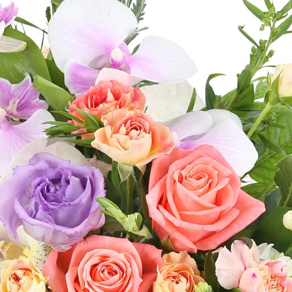 First Love Blossoms 6