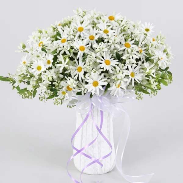 Pure Daisy Elegance