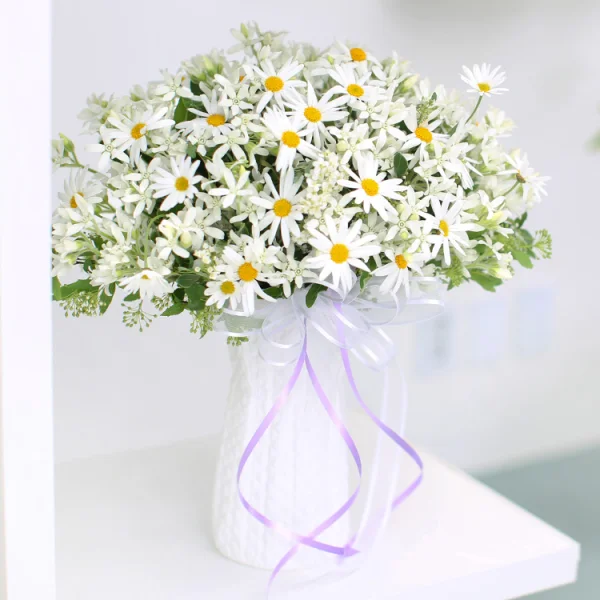Pure Daisy Elegance 4