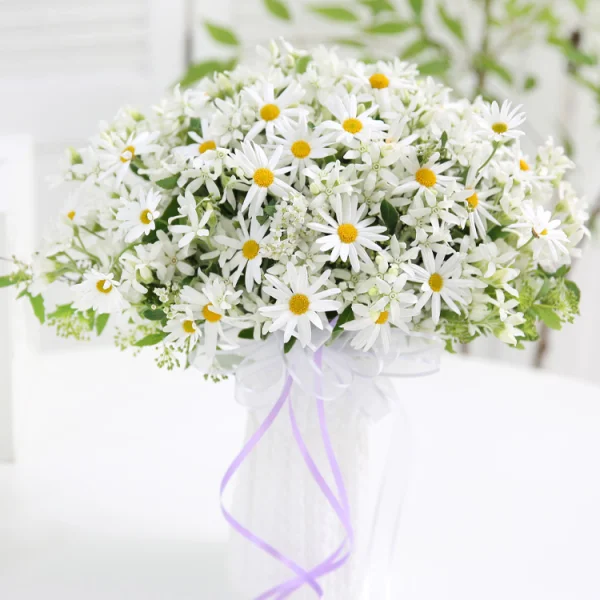 Pure Daisy Elegance 6