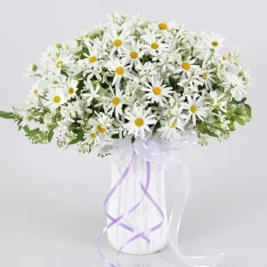 Pure Daisy Elegance