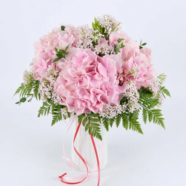 Blush Hydrangea Dream