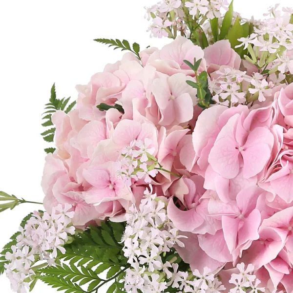 Blush Hydrangea Dream 6