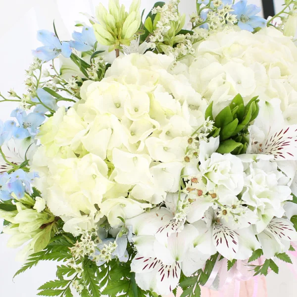 Whispers of Elegance 6