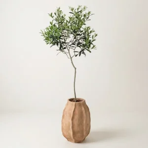 Serene Olive Elegance