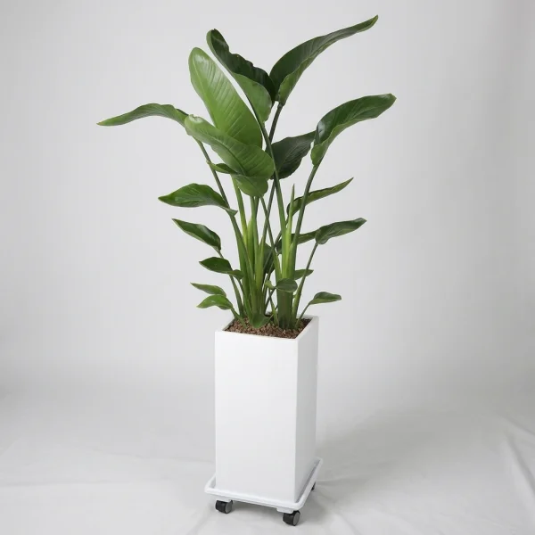 Elegant Green Embrace